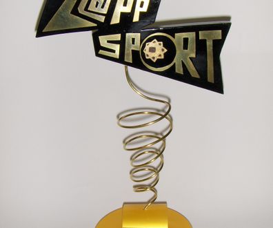 2010 Sporter van het jaar